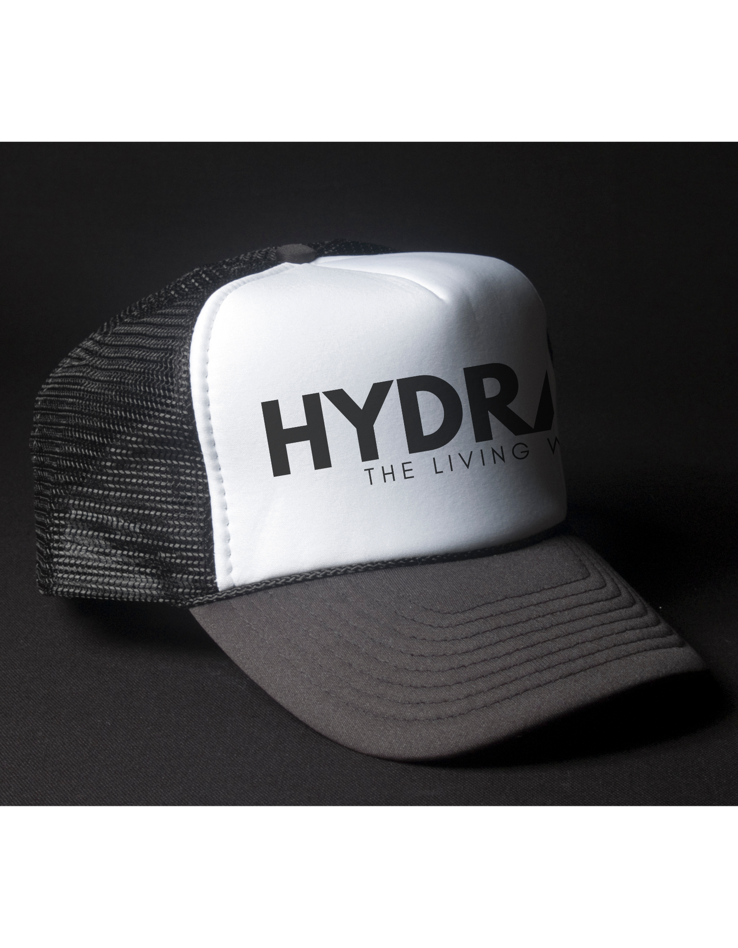 HYDRATE Official Snapback